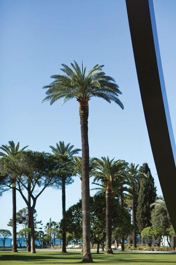Gilly 4 - Exceptional 2Beds, Sea View, Modern,A/C, Old Town Nice Exterior foto